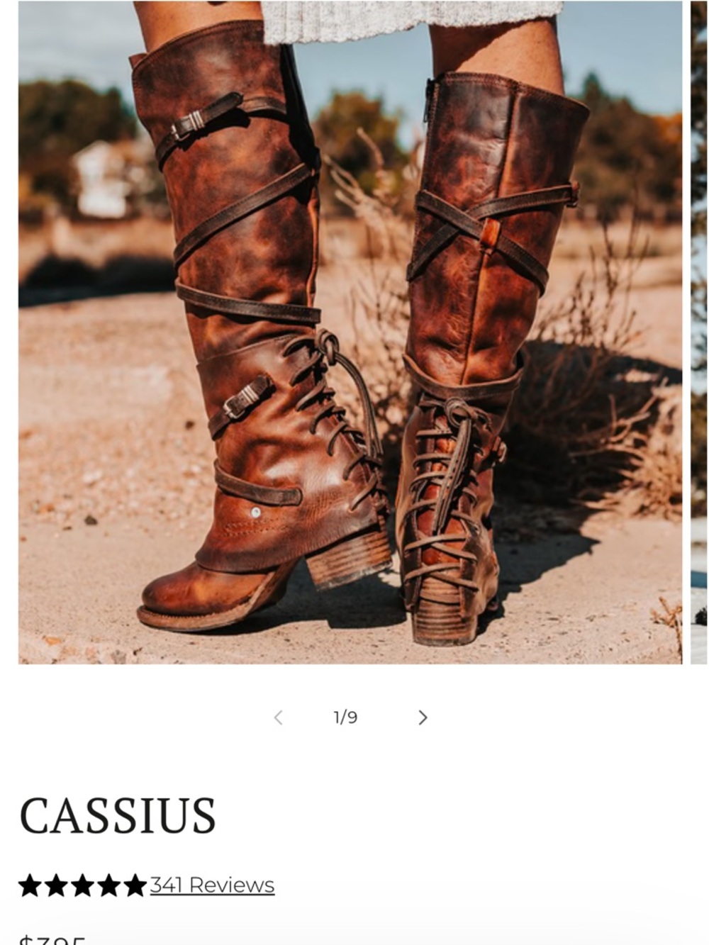 Freebird by Steven Cassius Brown Distressed Boots Size 8
